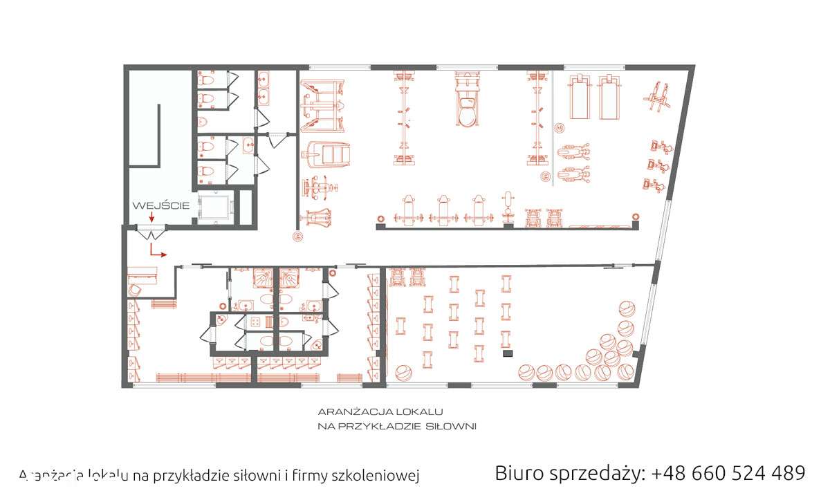 Studio fitness, usługi medyczne - bardzo blisko Wrocławia-8