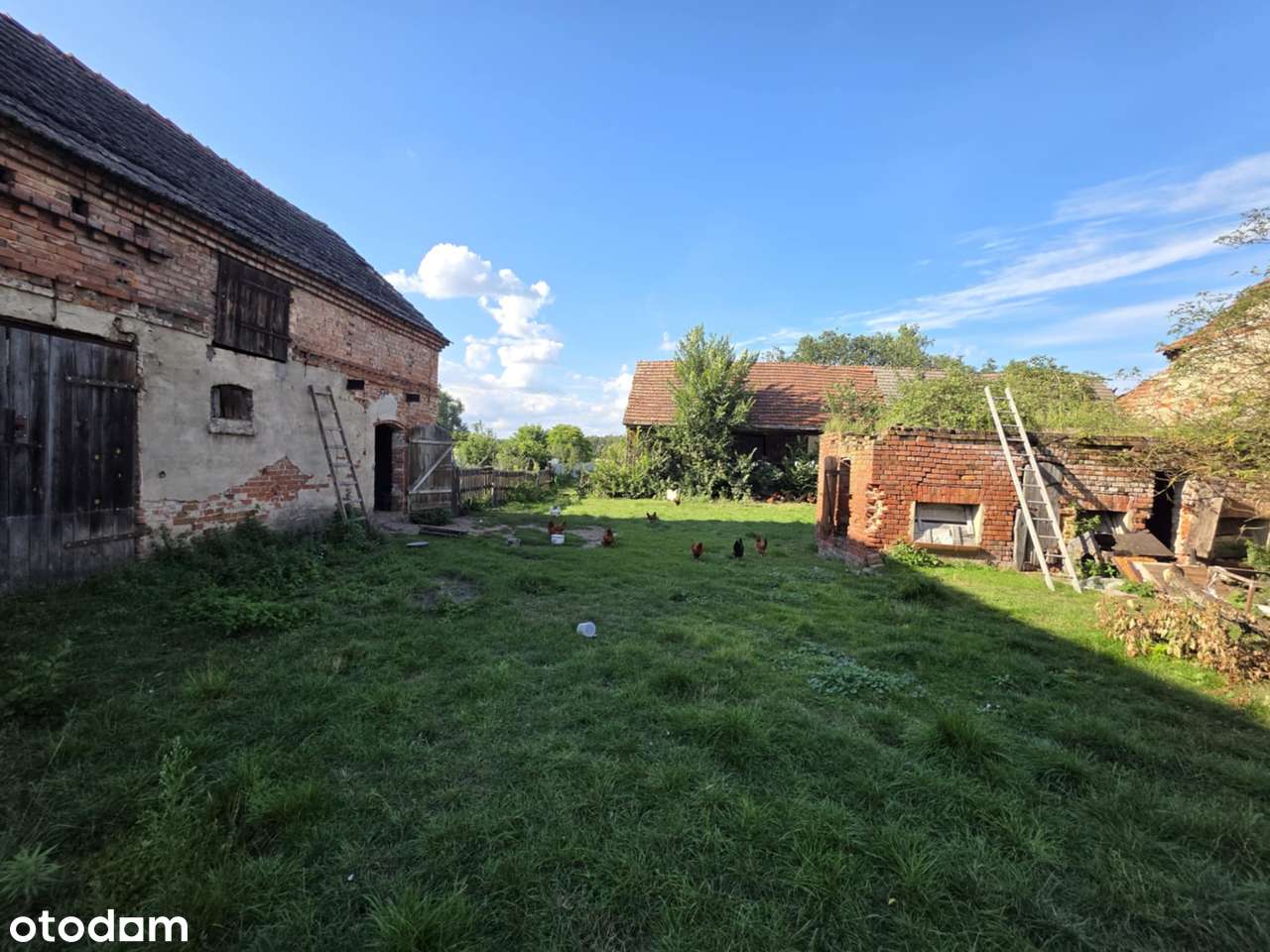 Dom na wsi, duża  działka - Pełny obrazek: 5/7