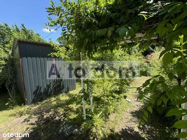 Rekreacja,10 Km Od Minska Mazowieckiego W Lesie-12