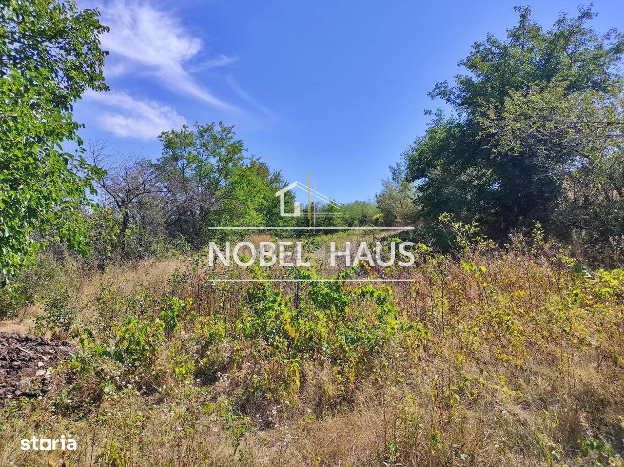 Teren 6200 mp, intravilan, sat Bogesti, comuna Pogana - Imagine principală: 4/7