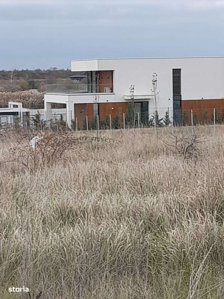 Teren Izvorani iesire Lac | loturi Izvorani | delta Snagov - Imagine principală: 4/13