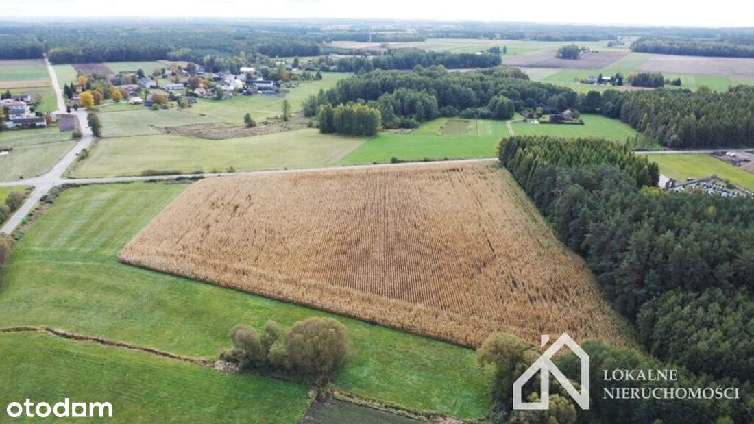 Grunty rolne - ponad 2,7 ha w miejscowości Czekanów na sprzedaż! - Pełny obrazek: 4/8