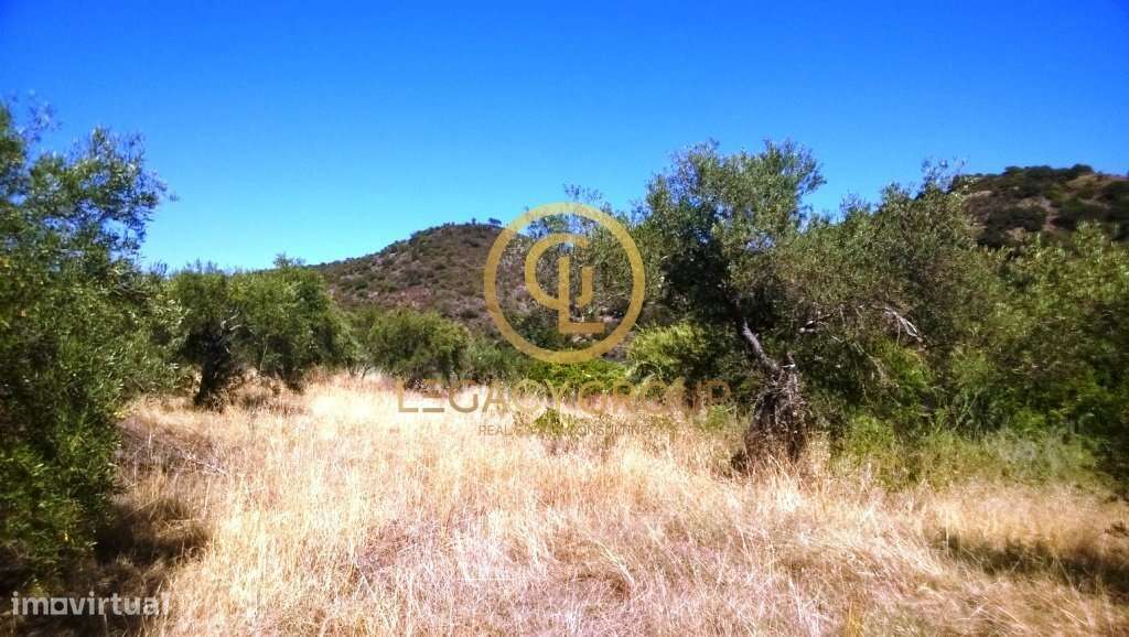 Terreno - Rio Guadiana - Grande imagem: 3/8