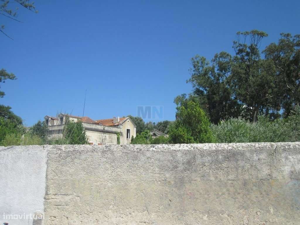 Terreno  c/ 10.000 M2 na Figueira da Foz-6