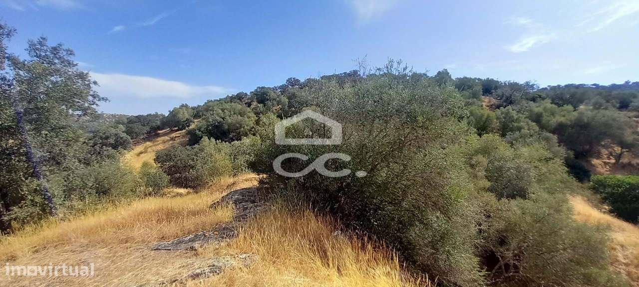 Magnifica Quinta com vista para o Rio Guadiana-22