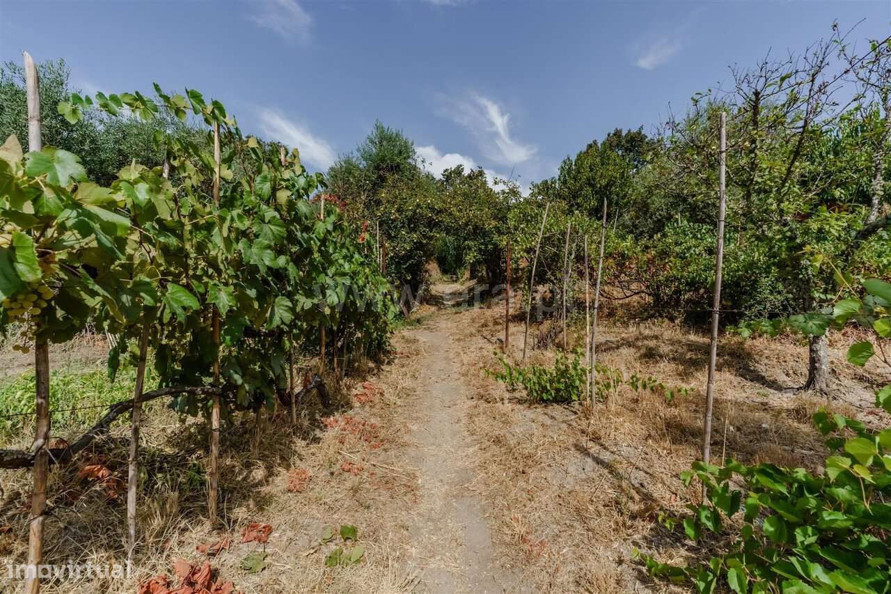 Terreno / Covilhã, Tortosendo-6