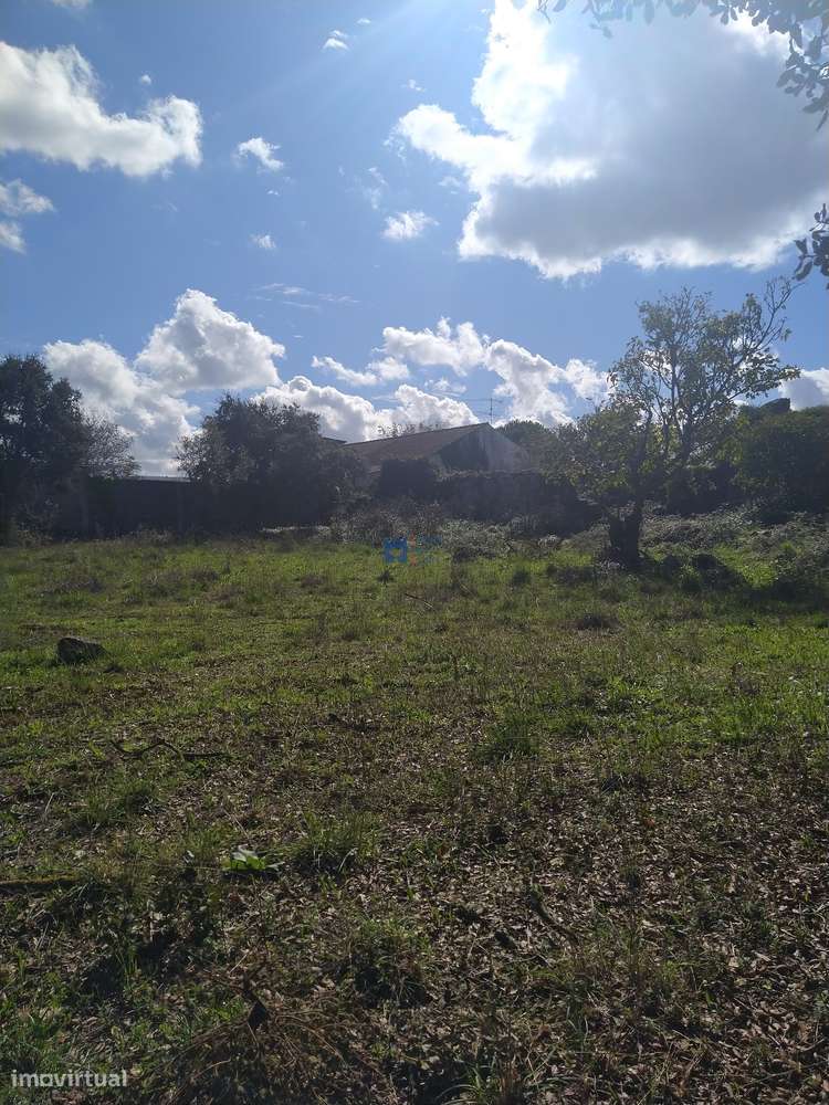 Terreno  em Fátima no lugar de Boleiros-6