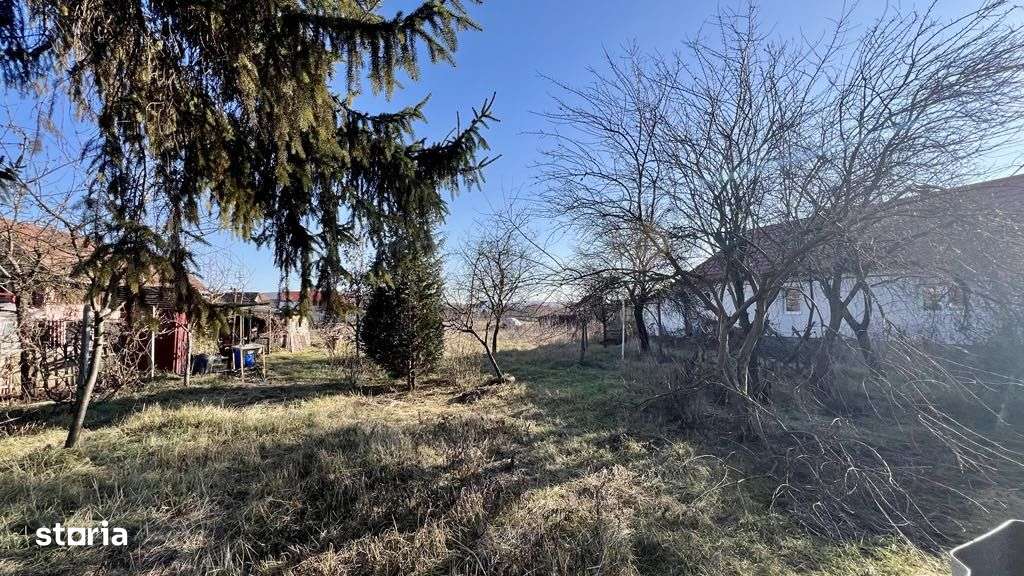 Vand teren 2010 mp in Santana de Mures la 200 m de primarie. - Imagine principală: 5/8