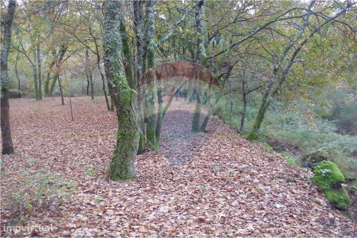 Terreno  para venda - Grande imagem: 4/22