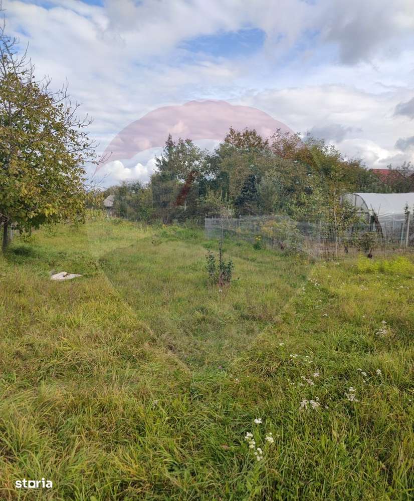 Teren 1,642mp Sighetu Marmatiei / Strada Pescarilor - Imagine principală: 4/5