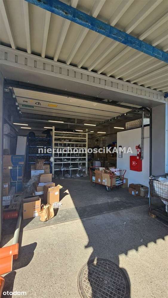 Hala/Magazyn, 1 603,55 m², Bielsko-Biała-7