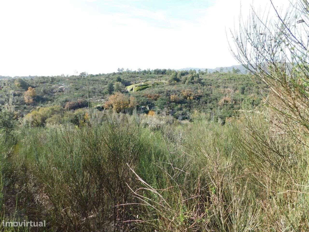 Quinta / Fundão, Vale Prazeres - Grande imagem: 3/10