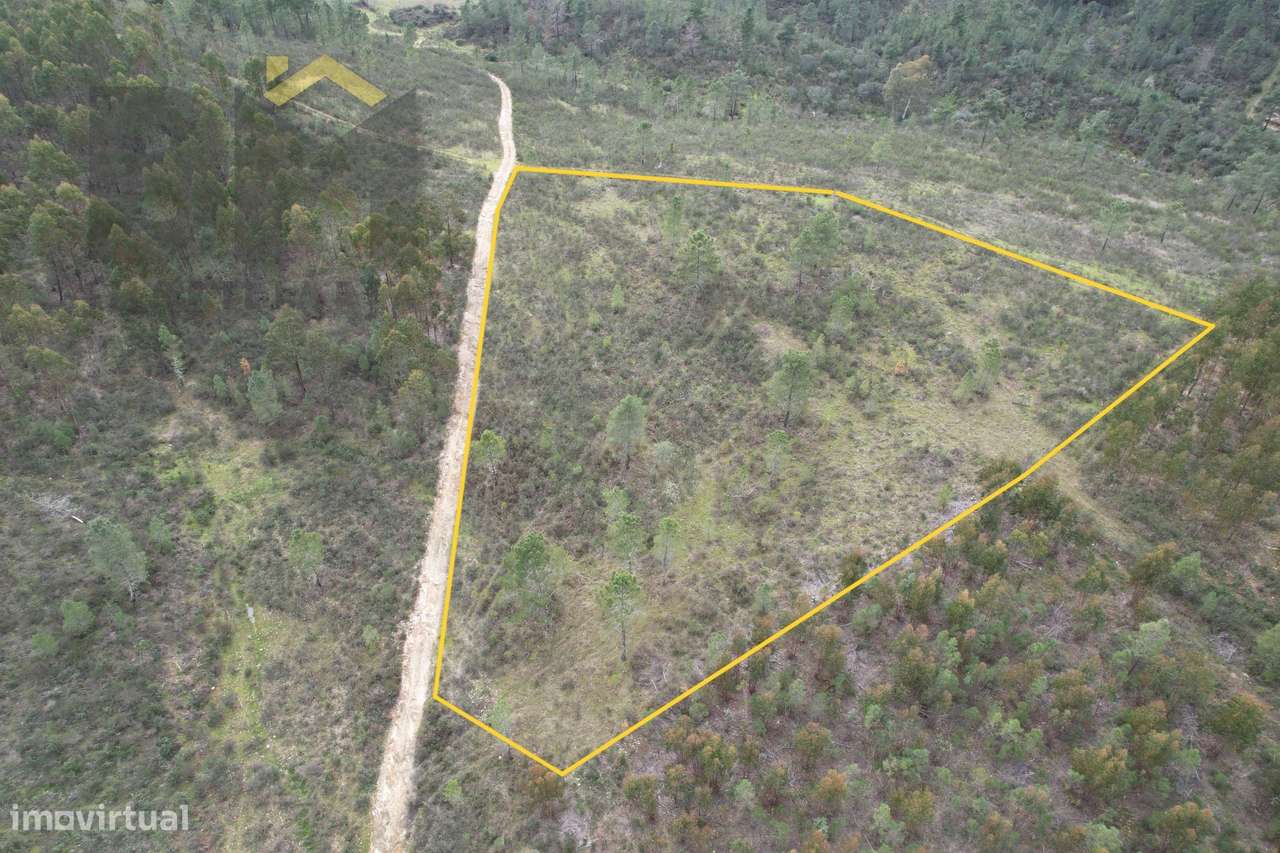 Terreno Rústico  Venda em Salgueiro do Campo,Castelo Branco - Grande imagem: 2/5