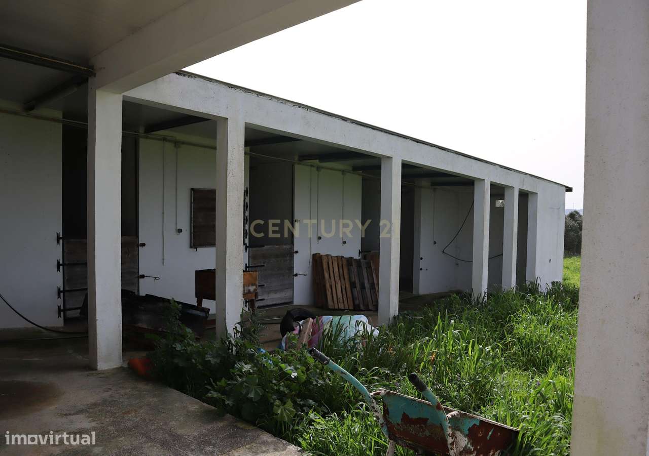 Encantadora Quinta em Mafra com Vista Mar e Serra – Piscina, Anexos e-35