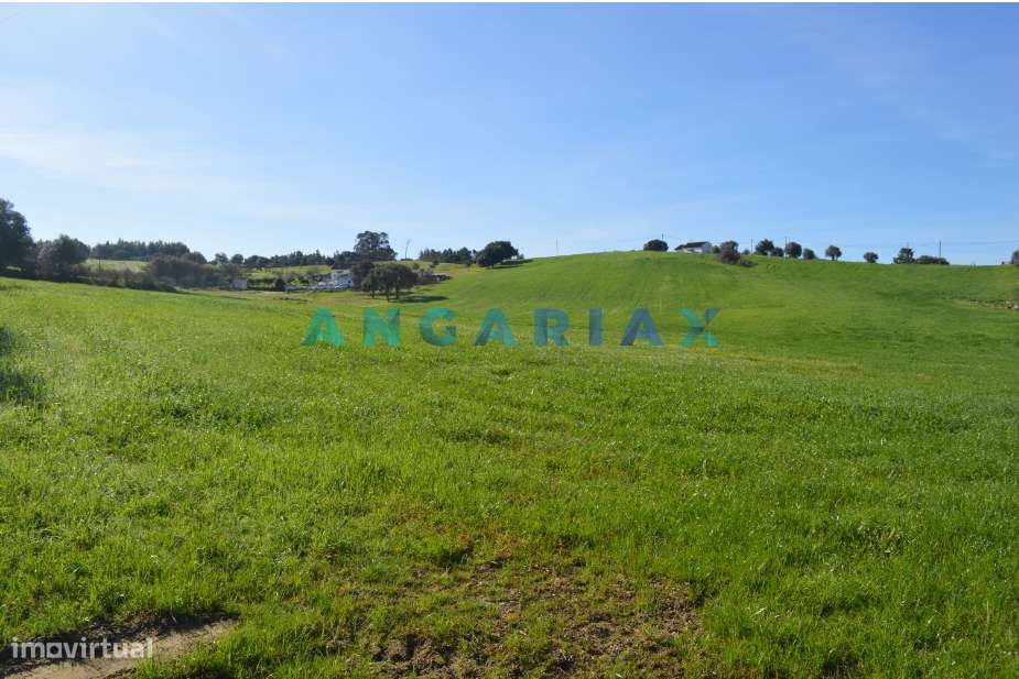 ANG159 - Terreno para Venda em Aveiras de Cima, Lisboa - Grande imagem: 3/10