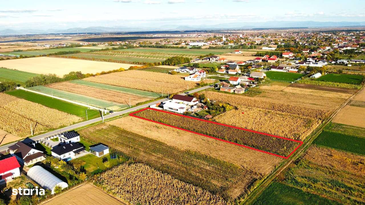 Video | Teren intravilan de vanzare – 3000 mp-6