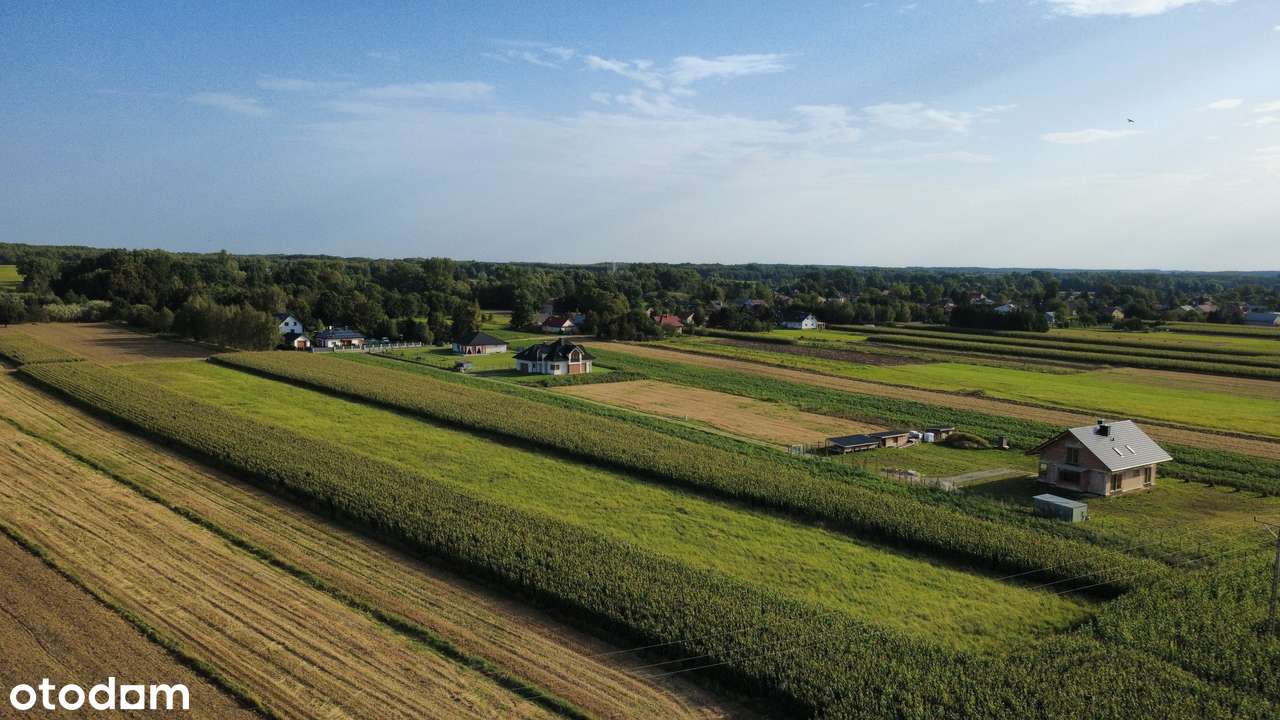 DZIAŁKI BUDOWLANE Z WZ Sędziszów Małopolski ul. Zielna - Pełny obrazek: 5/6