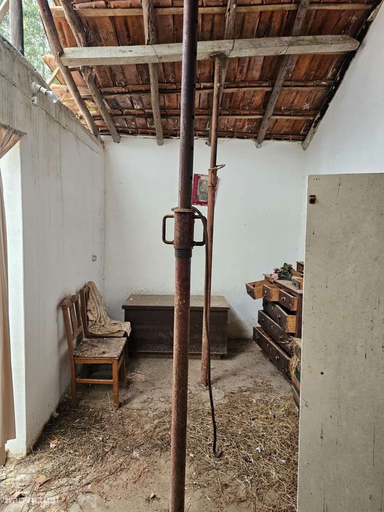 Quintinha 1350m2 - Almeirim - Fazendas de Almeirim-5
