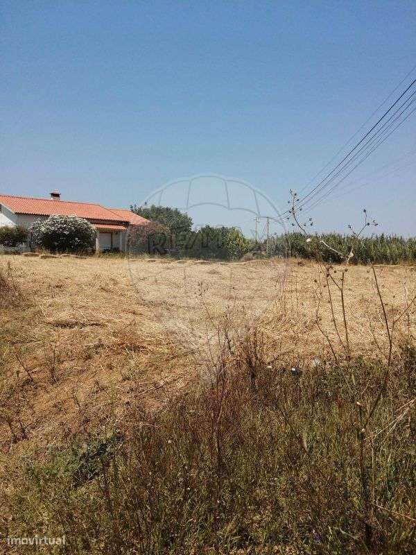 Terreno  para venda - Grande imagem: 4/6