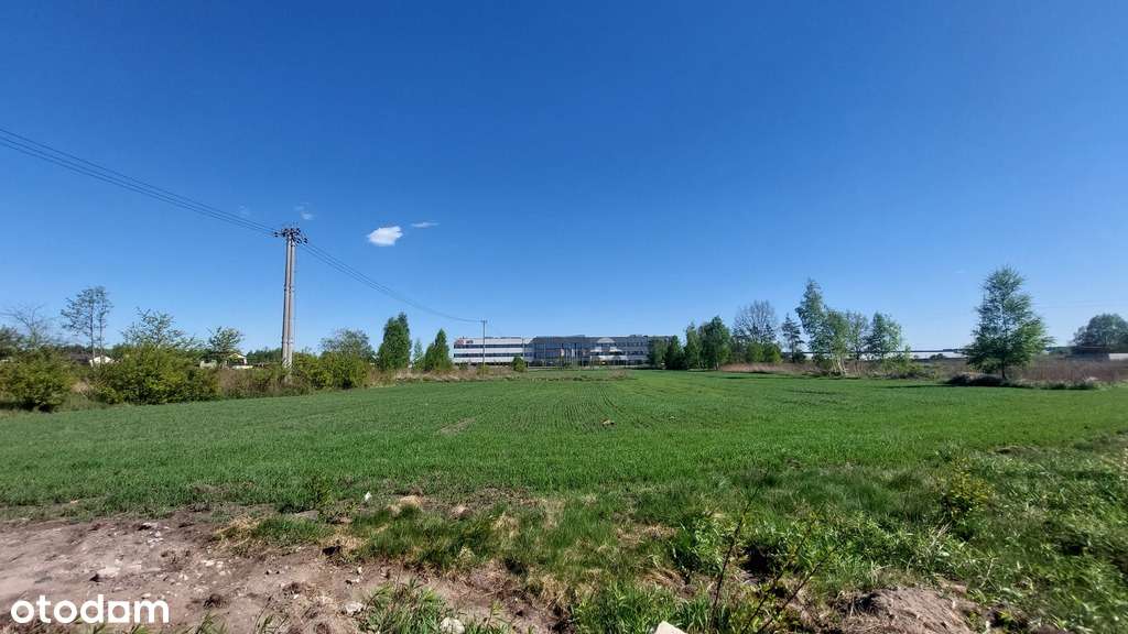 ✅Sprawdź >>> Działka inwestycyjna - Najem-3,1Ha ✅ - Pełny obrazek: 1/10