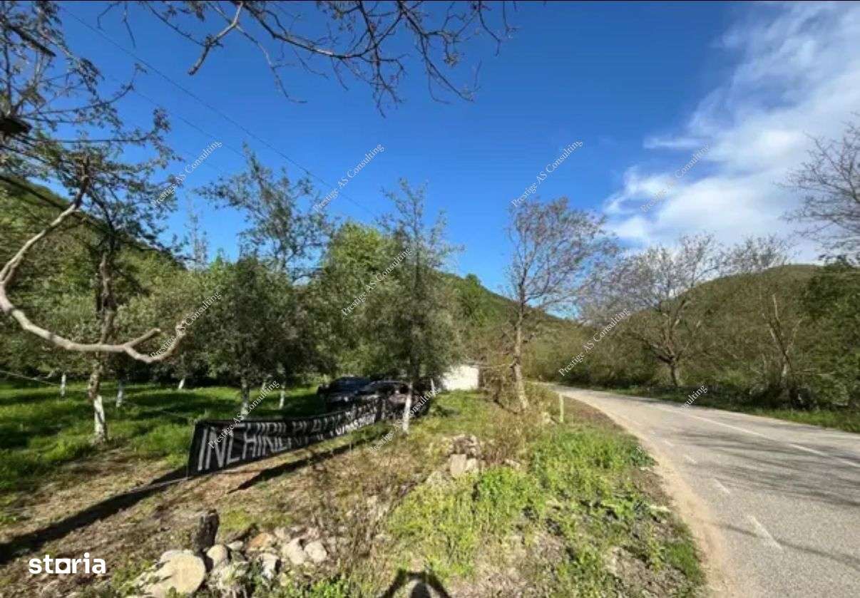 Teren 2000mp | Muntele Mic - Imagine principală: 3/3