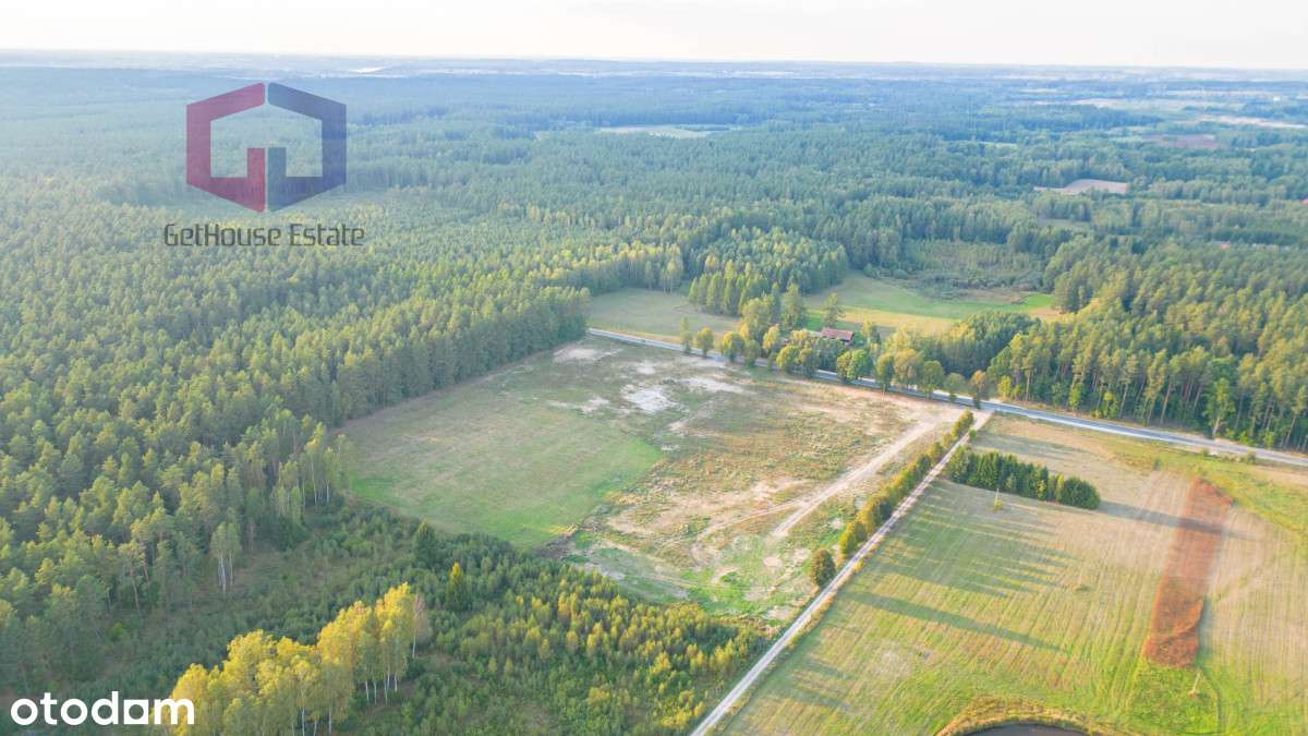 Działki ze ścianą lasu Natury 2000, super dojazd - Pełny obrazek: 5/6