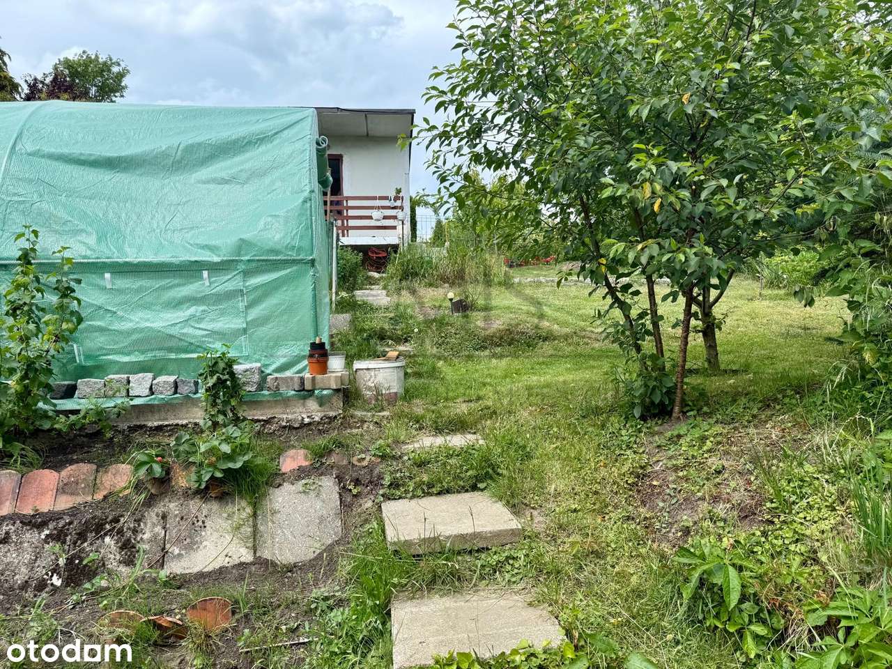 Działka ROD Zielony z domkiem, zadbana-11