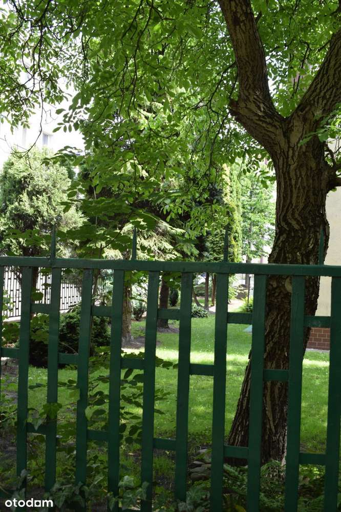 trzy mieszkania z garażem i lokal użytkowy-15