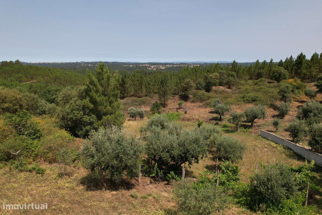 Terreno urbanizável de 4200m2, permite construção de moradia de 210m2-13