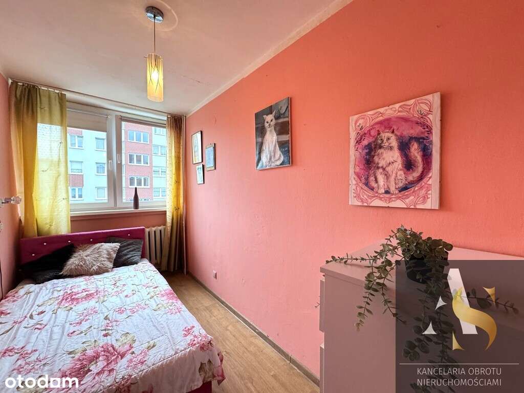 2 pokojowe mieszkanie z niskim czynszem - Pełny obrazek: 4/10