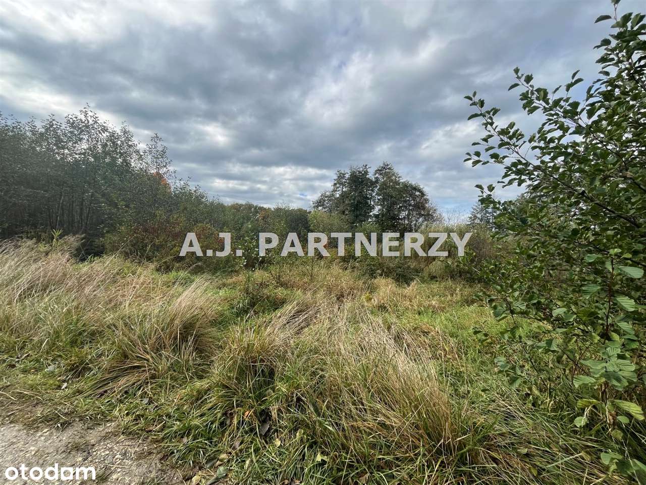 Działka budowlana w Rożnowej/Wieliczka-0