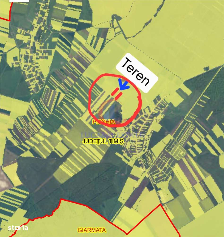 De vânzare: 2 parcele de teren extravilan agricol – Pischia, judetul T-0