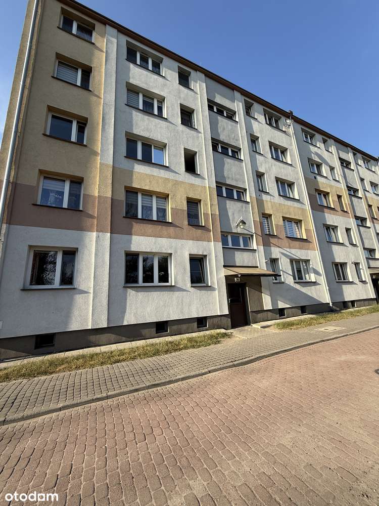 2POK | Wszystko nowe WYSOKI STANDARD + kuchnia, AGD i OKNA| nowa cena%-1