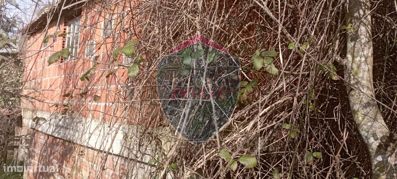 Quinta  Venda em Silgueiros,Viseu-11