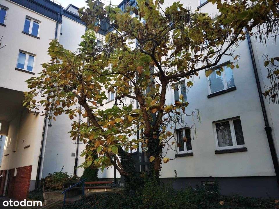 Ścisłe Centrum, ciche!!-0