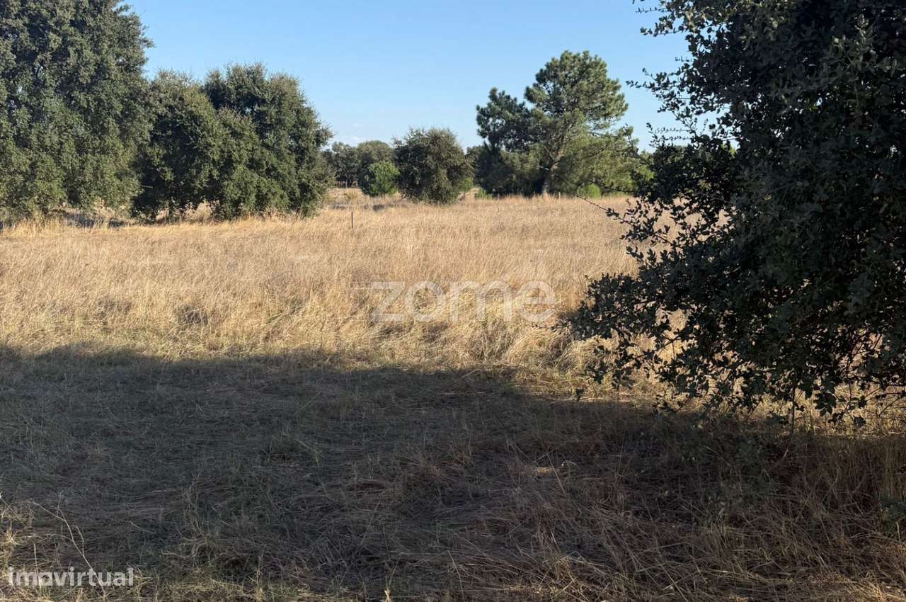 Terreno Rustico para Agricultura - Grande imagem: 5/8