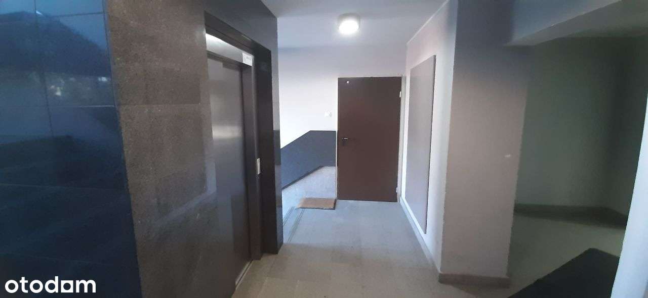 Mieszkanie 4-pok. 107 m.kw. ul. Strzeszyńska  - dwie loggie - ogródek - Pełny obrazek: 2/12