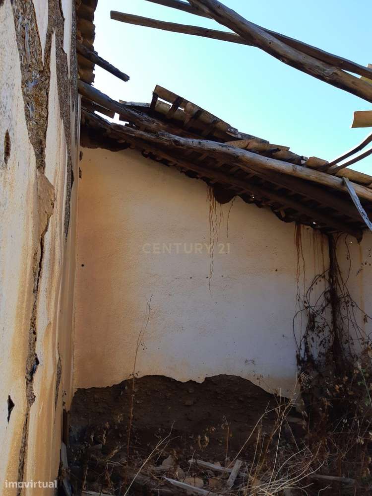 TERRENO MISTO | 14HA COM SOBREIROS | SÃO BARNABÉ-ALMODÔVAR - Grande imagem: 5/13