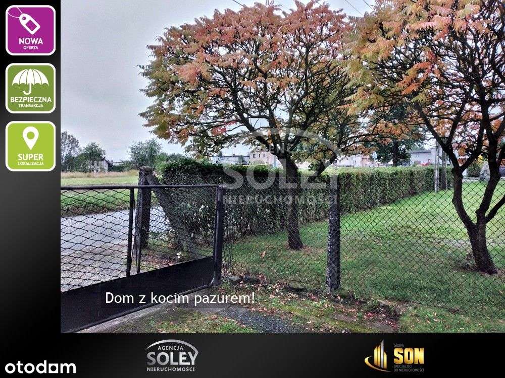 1  lub 2 rodzinny, możliwość działalności - Gotartowice - Pełny obrazek: 4/20