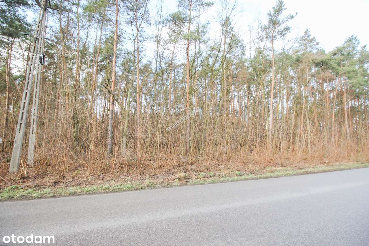 Działka budowlana 1690mkw dojazd asfaltowy. - Pełny obrazek: 2/6