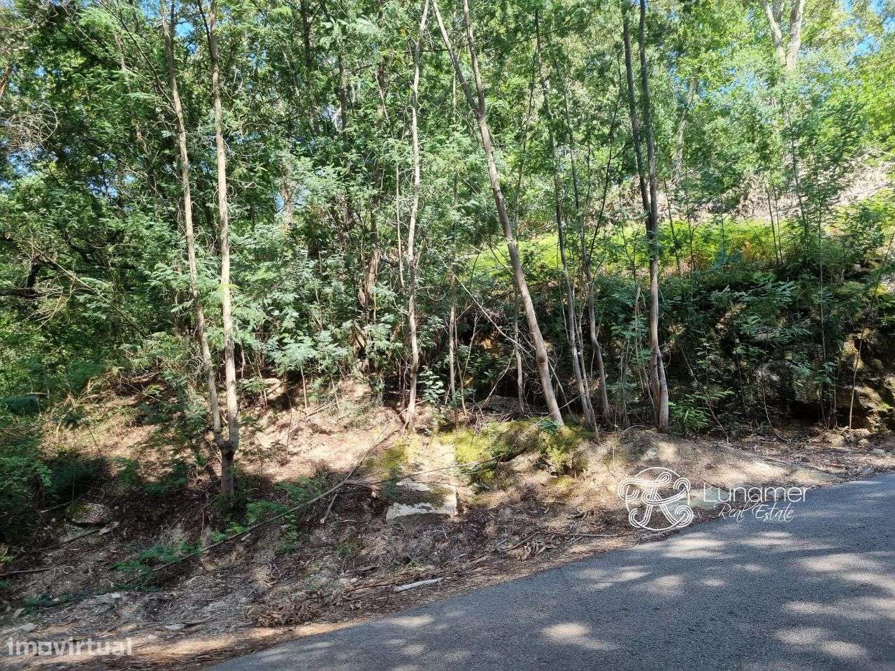 Terreno para construção com ruina, Vieira do Minho - Grande imagem: 3/25