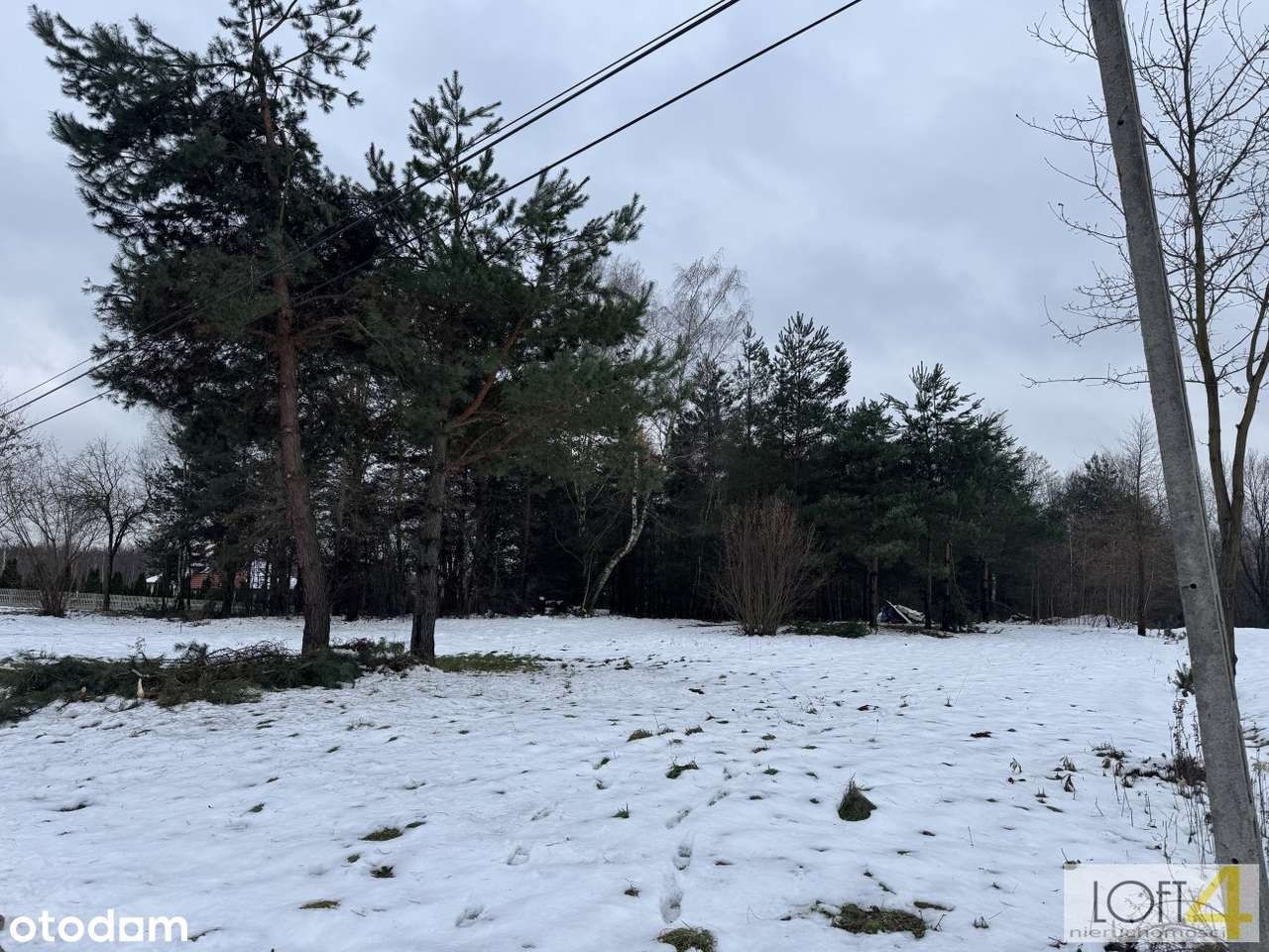 Duża działka z WZ -  otulona lasem-6