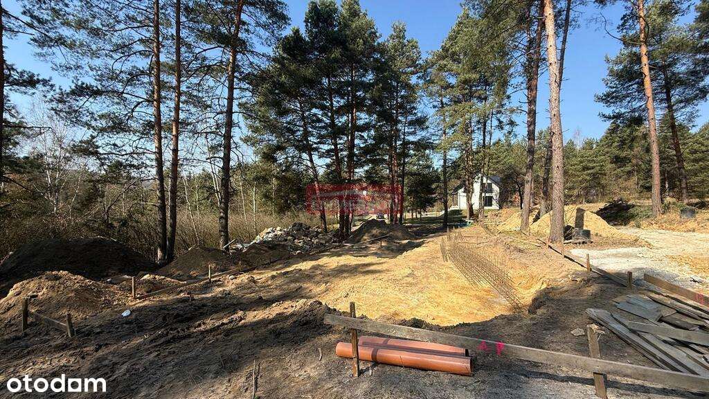 Dom/10 arów/las - Pełny obrazek: 5/6