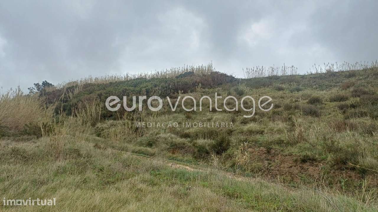 Terreno, Famalicão, Nazaré - Grande imagem: 4/12