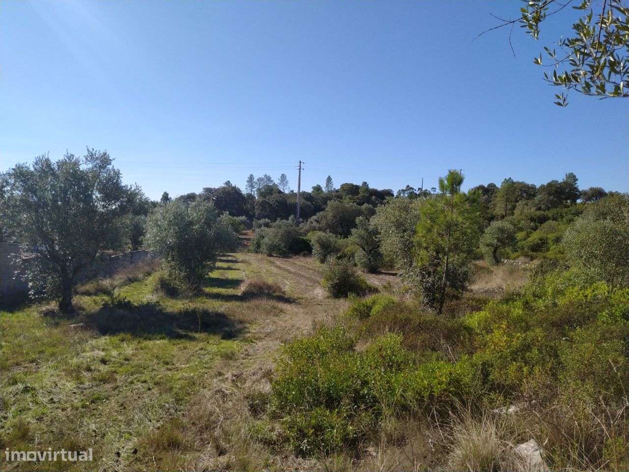 Terreno para construção - Grande imagem: 2/2