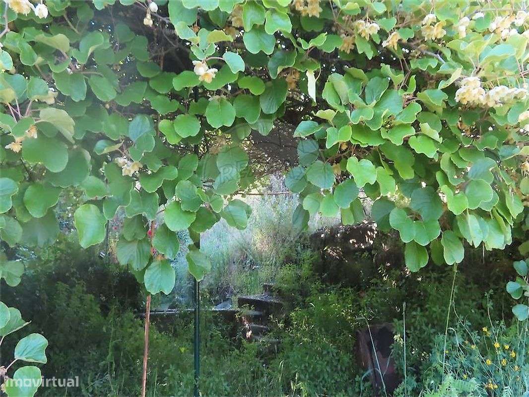 Quinta  para venda-18