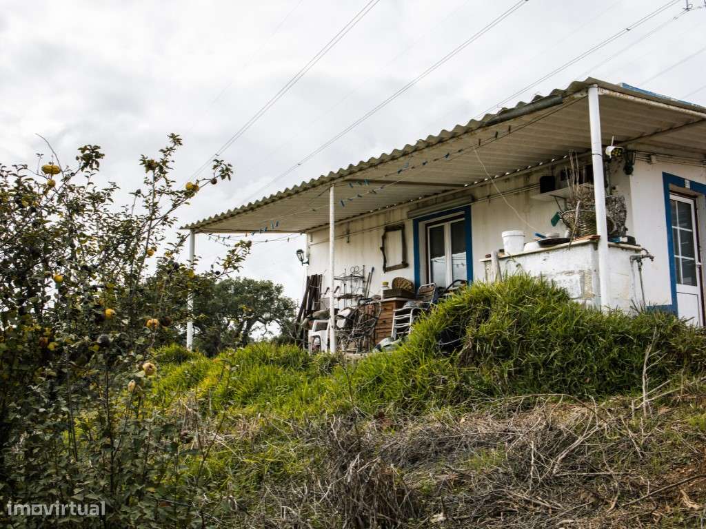 ** Fantástico Monte Alentejano com 50.000m2 Próximo a Maravilhosa C...-25