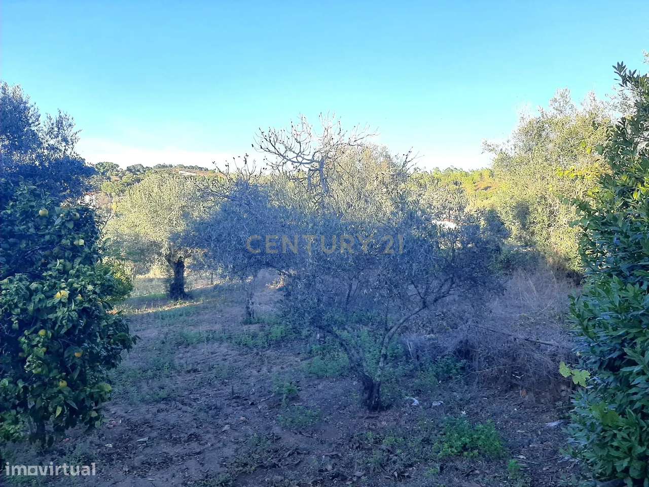 Moradias com terreno em Mouriscas, Abrantes-23