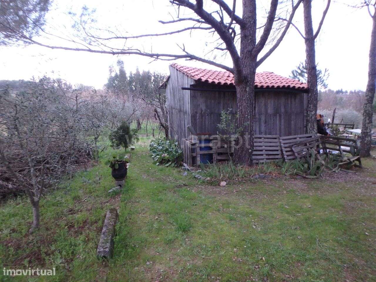 Quinta Estúdio / Seia, Santa Marinha e São Martinho - Grande imagem: 5/10