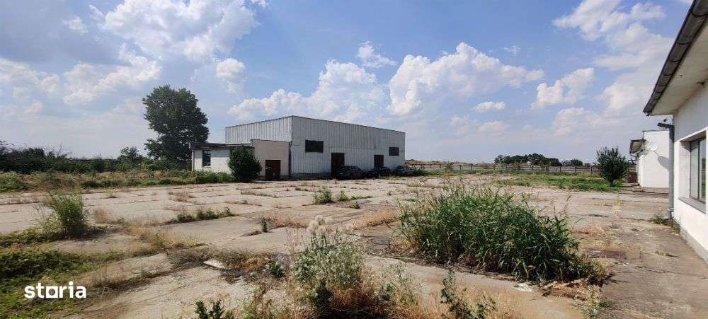 Independenta - Calarasi, Hala multifunctionala cu teren 30.000 mp - Imagine principală: 4/7